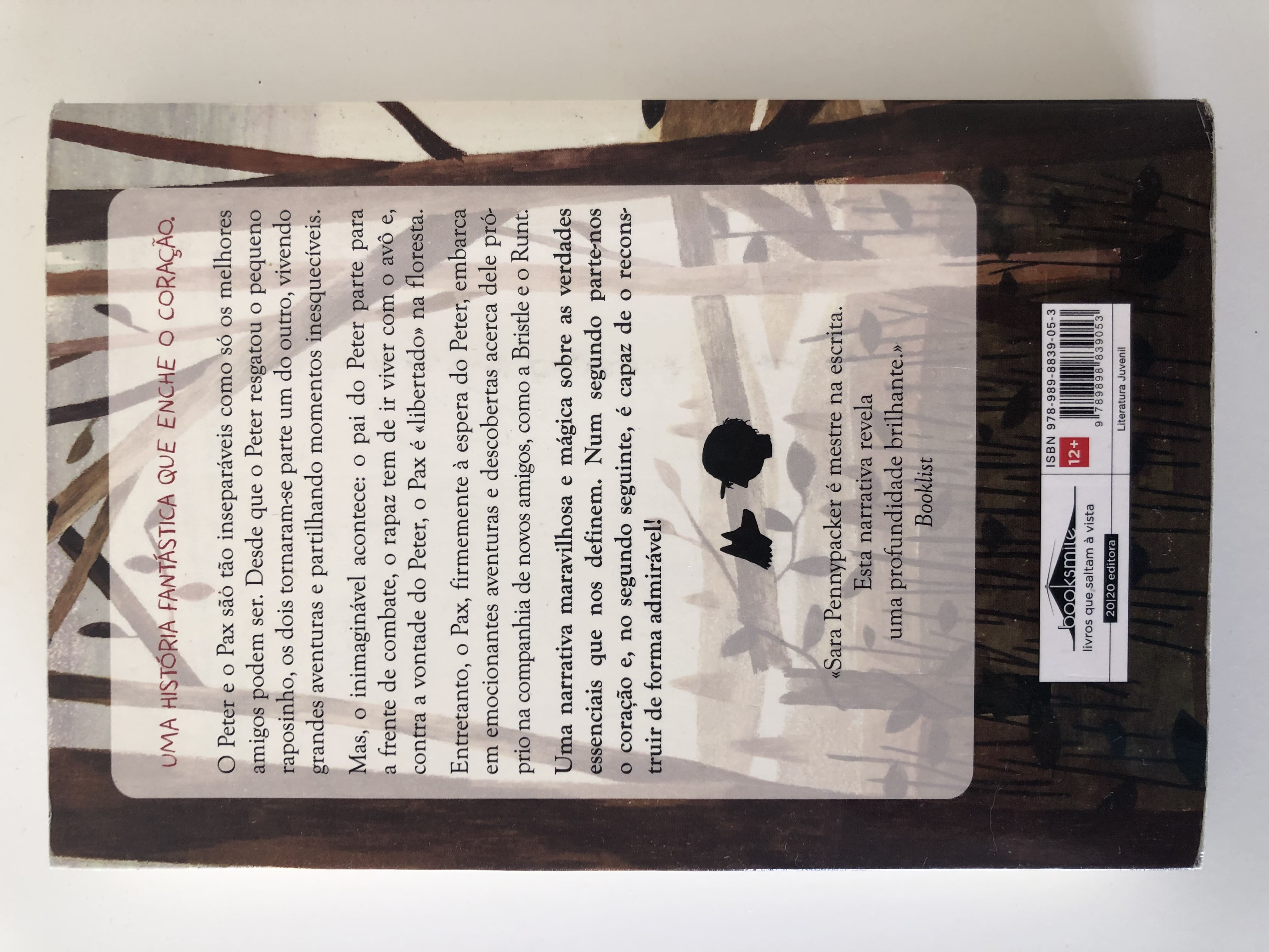 A história comovente de uma amizade entre um rapaz e um raposinho