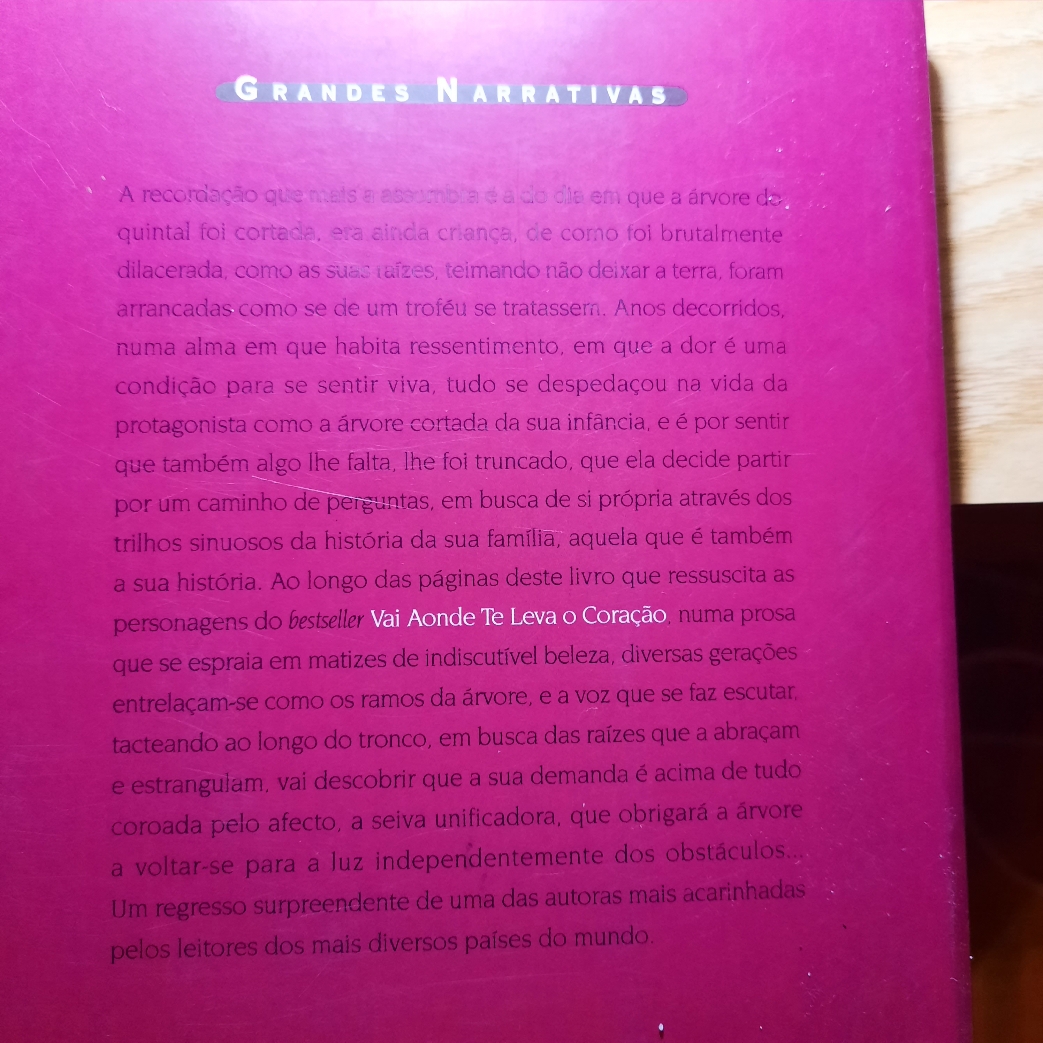 A dor é uma recordação, é por sentir que também algo lhe falta, lhe foi truncado, que ela decide partir num caminho de perguntas, em busca de si própria.