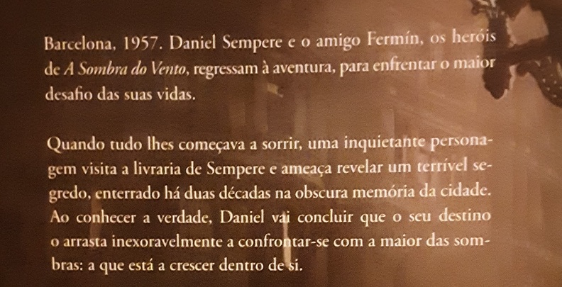 Contracapa sinopse 