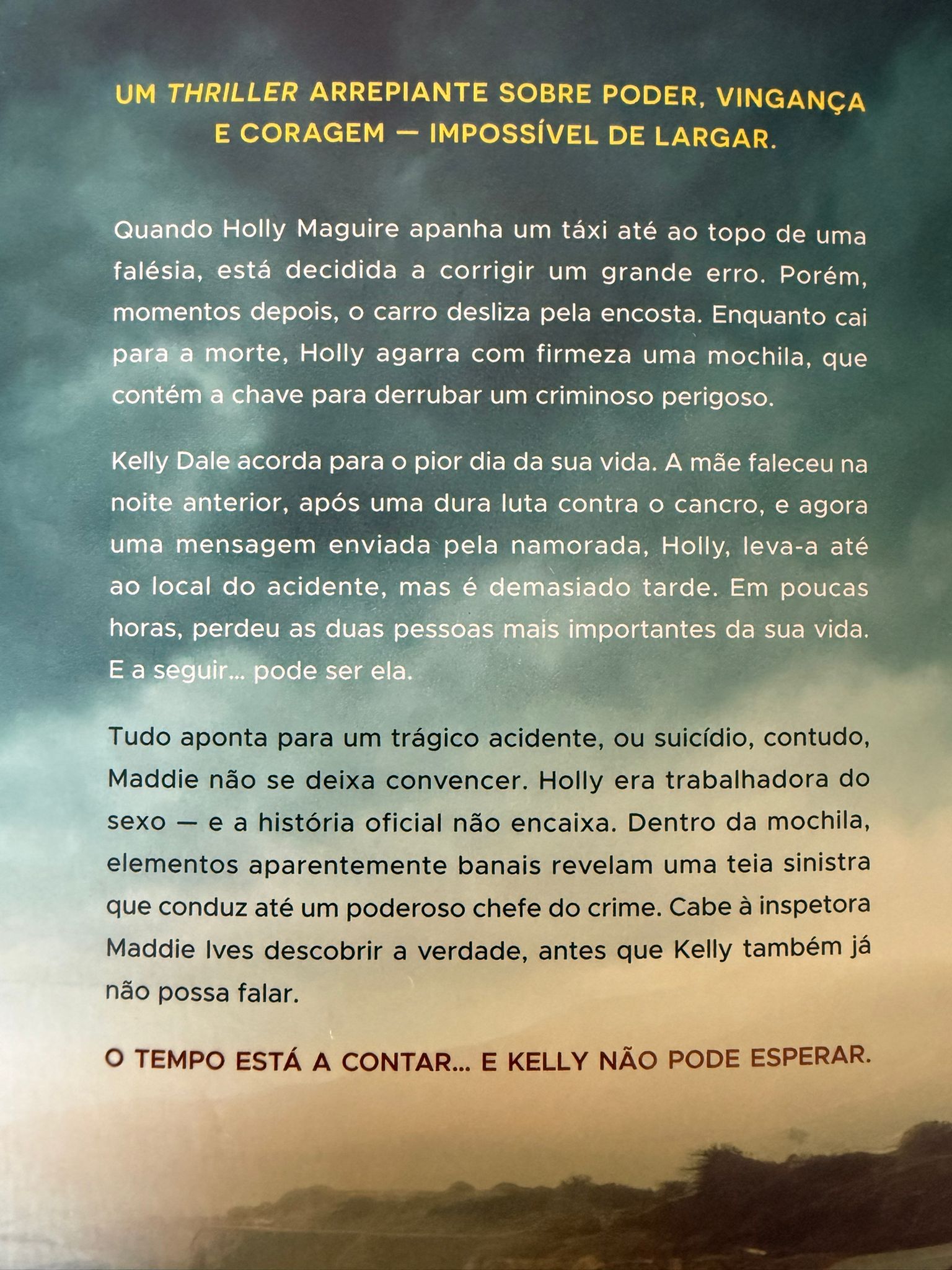 Quando Holly Maguire apanha um táxi até ao topo de uma falésia, está decidida a corrigir um grande erro, porém, momentos depois, o carro desliza pela encosta. Enquanto cai para a morte, Holly agarra com firmeza uma mochila, que contém a chave para derrubar um criminoso perigoso.  Kelly Dale acorda para o pior dia da sua vida. A mãe faleceu na noite anterior, após uma dura luta contra o cancro, e agora uma mensagem enviada pela namorada, Holly, leva-a até ao local do acidente, mas é demasiado tarde. Em poucas horas, perdeu as duas pessoas mais importantes da sua vida. E a seguir… pode ser ela.  Tudo aponta para um trágico acidente, ou suicídio, contudo Maddie não se deixa convencer. Holly era trabalhadora do sexo, e a história oficial não encaixa. Dentro da mochila, elementos aparentemente banais revelam uma teia sinistra que conduz até um poderoso chefe do crime.  Cabe à inspetora Maddie Ives descobrir a verdade, antes que Kelly também já não possa falar.  O TEMPO ESTÁ A CONTAR… E KELLY NÃO PODE ESPERAR.