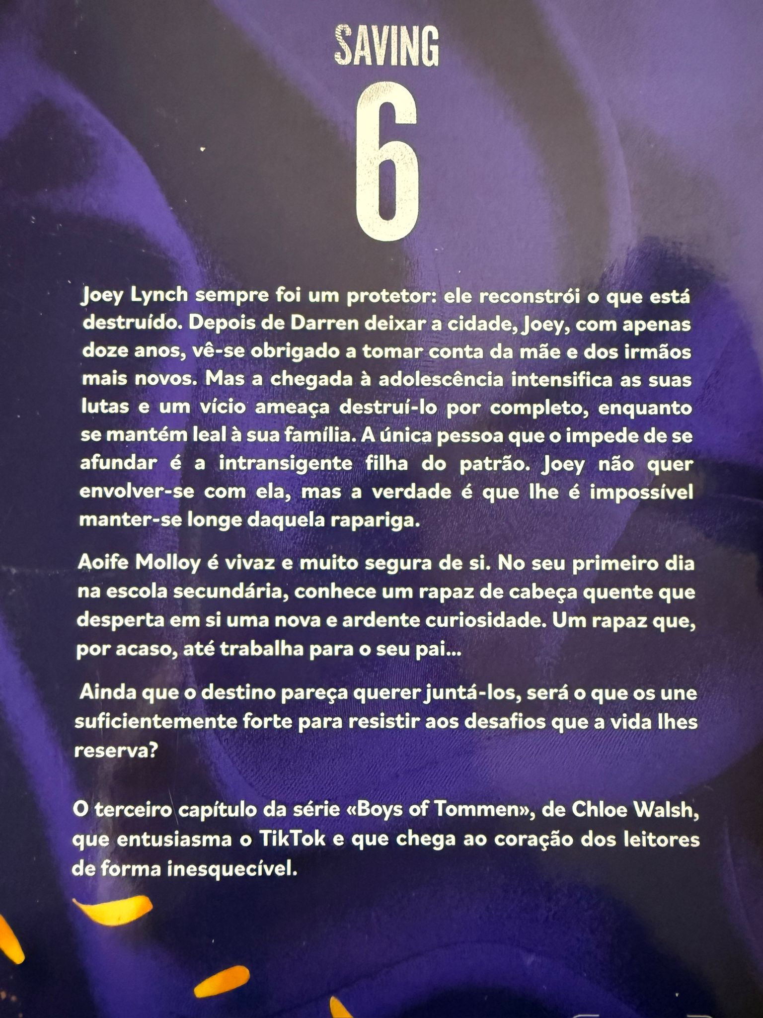 Joey Lynch sempre foi um protetor: ele reconstrói o que está destruído. Depois de Darren deixar a cidade, Joey, com apenas doze anos, vê-se obrigado a tomar conta da mãe e dos irmãos mais novos. Mas a chegada à adolescência intensifica as suas lutas e um vício ameaça destruí-lo por completo, enquanto se mantém leal à sua família. A única pessoa que o impede de se afundar é a intransigente filha do patrão. Joey não quer envolver-se com ela, mas a verdade é que lhe é impossível manter-se longe daquela rapariga. Aoife Molloy é vivaz e muito segura de si. No seu primeiro dia na escola secundária, conhece um rapaz de cabeça quente que desperta em si uma nova e ardente curiosidade. Um rapaz que, por acaso, até trabalha para o seu pai… Ainda que o destino pareça querer juntá-los, será o que os une suficientemente forte para resistir aos desafios que a vida lhes reserva?
