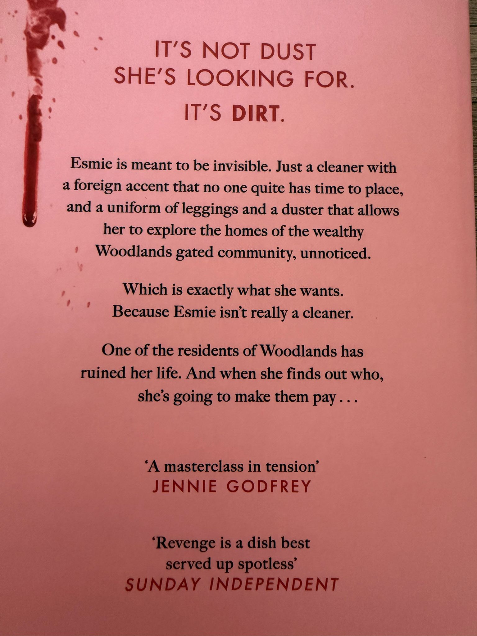 It’s not dust she’s looking for . . . it’s dirt.  Esmie is meant to be invisible. A cleaner for an exclusive gated neighborhood in Ireland, Esmie fades into the background, slipping in and out of kitchens and closets, quietly observing her clients’ perfect domestic lives. These entitled families only see a quiet woman with a mop in hand, who speaks with an accent they don’t bother to place, and this is exactly what she wants.  Esmie is well aware that her employers don’t truly see her. To them, she’s a foreigner who cleans up their messes. But there’s one mess she refuses to clean up. Because Esmie is not a cleaner. She’s come to this neighborhood for one purpose and one purpose only. Revenge. Armed with a duster and a cunning plan, Esmie could soon find herself entangled with the very people she came to destroy.  The Cleaner exposes the dark underbelly of a protected society, revealing the dirty truths that lie beneath its polished facades of privilege.