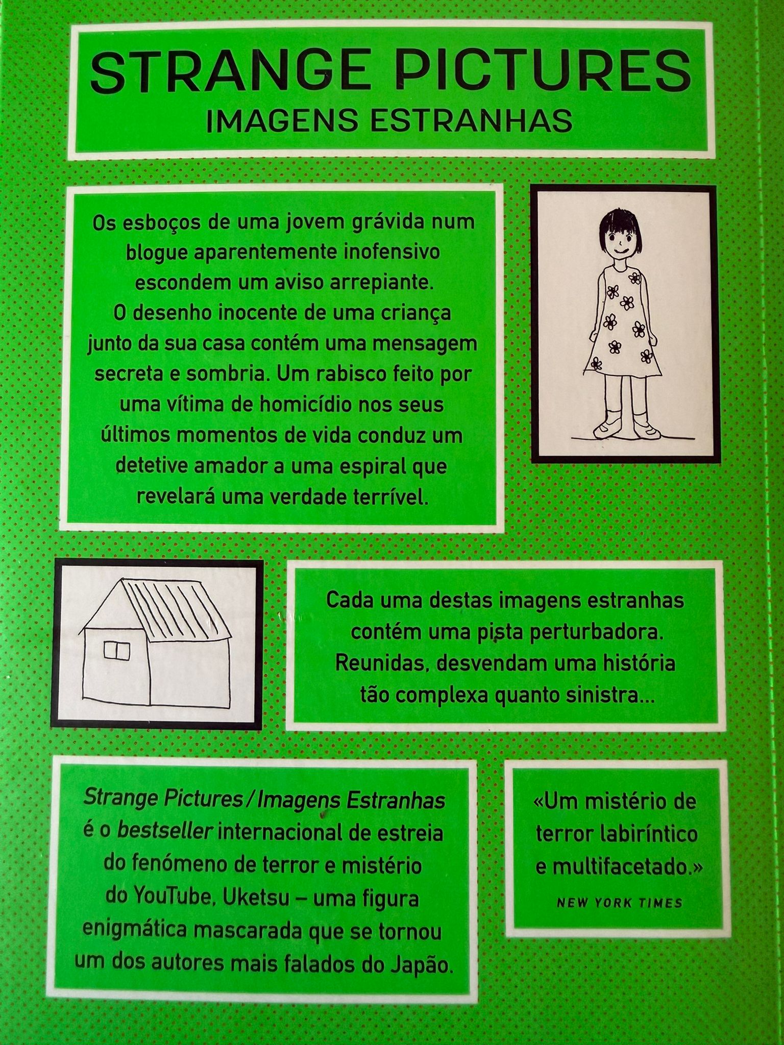 Com o estilo clássico de um enigma e ilustrações inovadoras, é deliciosamente macabro. Os esboços de uma jovem grávida num blogue aparentemente inofensivo escondem um aviso arrepiante. O desenho inocente de uma criança junto da sua casa contém uma mensagem secreta e sombria. Um rabisco feito por uma vítima de homicídio nos seus últimos momentos de vida conduz um detetive amador a uma espiral que revelará uma verdade terrível. Cada uma destas imagens estranhas contém uma pista perturbadora. Reunidas, desvendam uma história tão complexa quanto sinistra... Strange Pictures / Imagens Estranhas é o bestseller internacional de estreia do fenómeno de terror e mistério do YouTube, Uketsu – uma figura enigmática mascarada que se tornou um dos autores mais falados do Japão.
