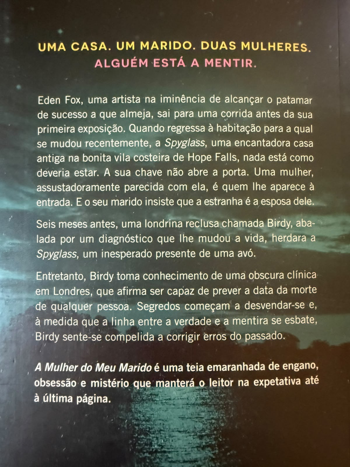 Eden Fox, uma artista na iminência de alcançar o patamar de sucesso a que almeja, sai para uma corrida antes da sua primeira exposição. Quando regressa à habitação para a qual se mudou recentemente, a Spyglass, uma encantadora casa antiga na bonita vila costeira de Hope Falls, nada está como deveria estar. A sua chave não abre a porta. Uma mulher, assustadoramente parecida com ela, é quem lhe aparece à entrada. E o seu marido insiste que a estranha é a esposa dele.  Seis meses antes, uma londrina reclusa chamada Birdy, abalada por um diagnóstico que lhe mudou a vida, herdara a Spyglass, um inesperado presente de uma avó.  Entretanto, Birdy toma conhecimento de uma obscura clínica em Londres, que afirma ser capaz de prever a data da morte de qualquer pessoa. Segredos começam a desvendar-se e, à medida que a linha entre a verdade e a mentira se esbate, Birdy sente-se compelida a corrigir erros do passado.  A Mulher do Meu Marido é uma teia emaranhada de engano, obsessão e mistério que manterá o leitor na expetativa até à última página.