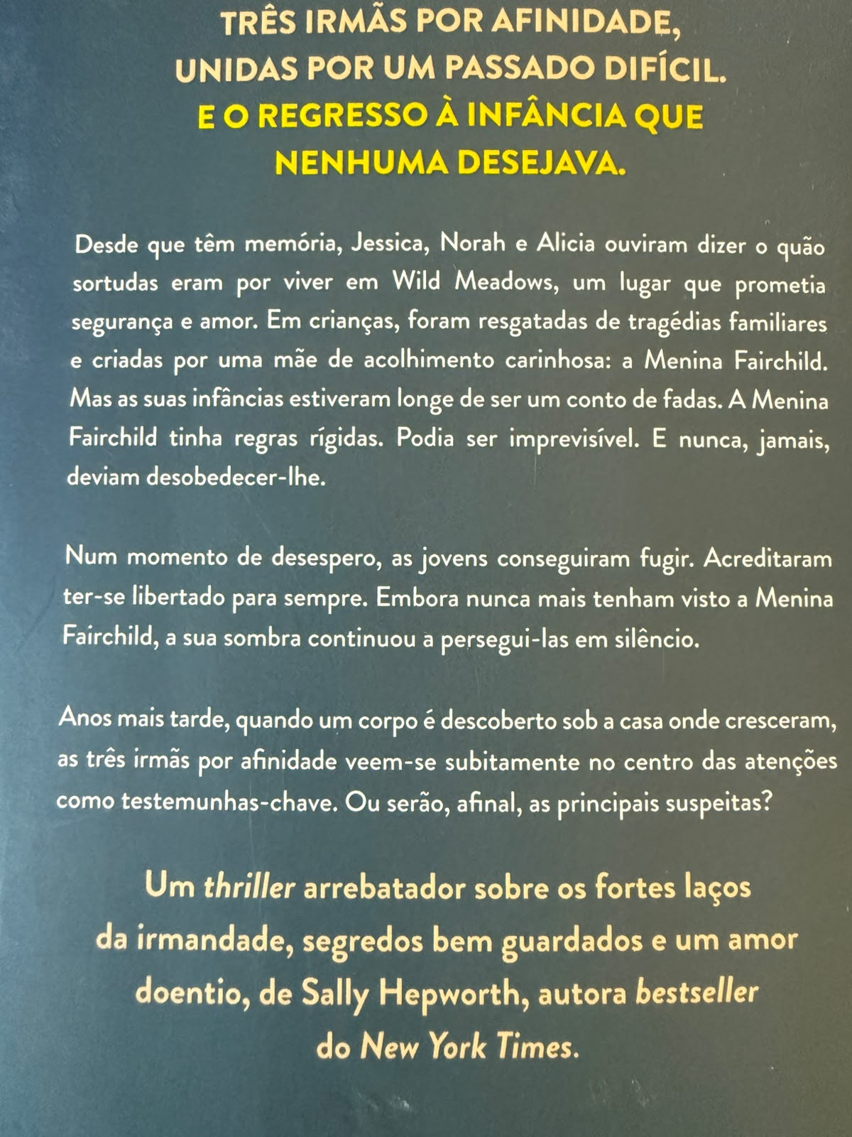 Desde que têm memória, Jessica, Norah e Alicia ouviram dizer o quão sortudas eram por viver em Wild Meadows, um lugar que prometia segurança e amor. Em crianças, foram resgatadas de tragédias familiares e criadas por uma mãe de acolhimento carinhosa: a senhorita Fairchild.  Mas a sua infância esteve longe de ser um conto de fadas. A senhorita Fairchild tinha regras rígidas. Podia ser imprevisível. E nunca, jamais, deviam desobedecer-lhe.  Num momento de desespero, as três jovens conseguiram fugir e acreditaram ter-se libertado para sempre. Embora nunca mais a tenham visto, a sua sombra continuou a persegui-las em silêncio.  Anos mais tarde, quando um corpo é descoberto sob a casa onde cresceram, as irmãs de acolhimento veem-se subitamente no centro das atenções como testemunhas-chave. Ou serão, afinal, as principais suspeitas?  Um thriller arrebatador sobre os fortes laços da irmandade, segredos bem guardados e um amor doentio, da autora bestseller do New York Times Sally Hepworth.