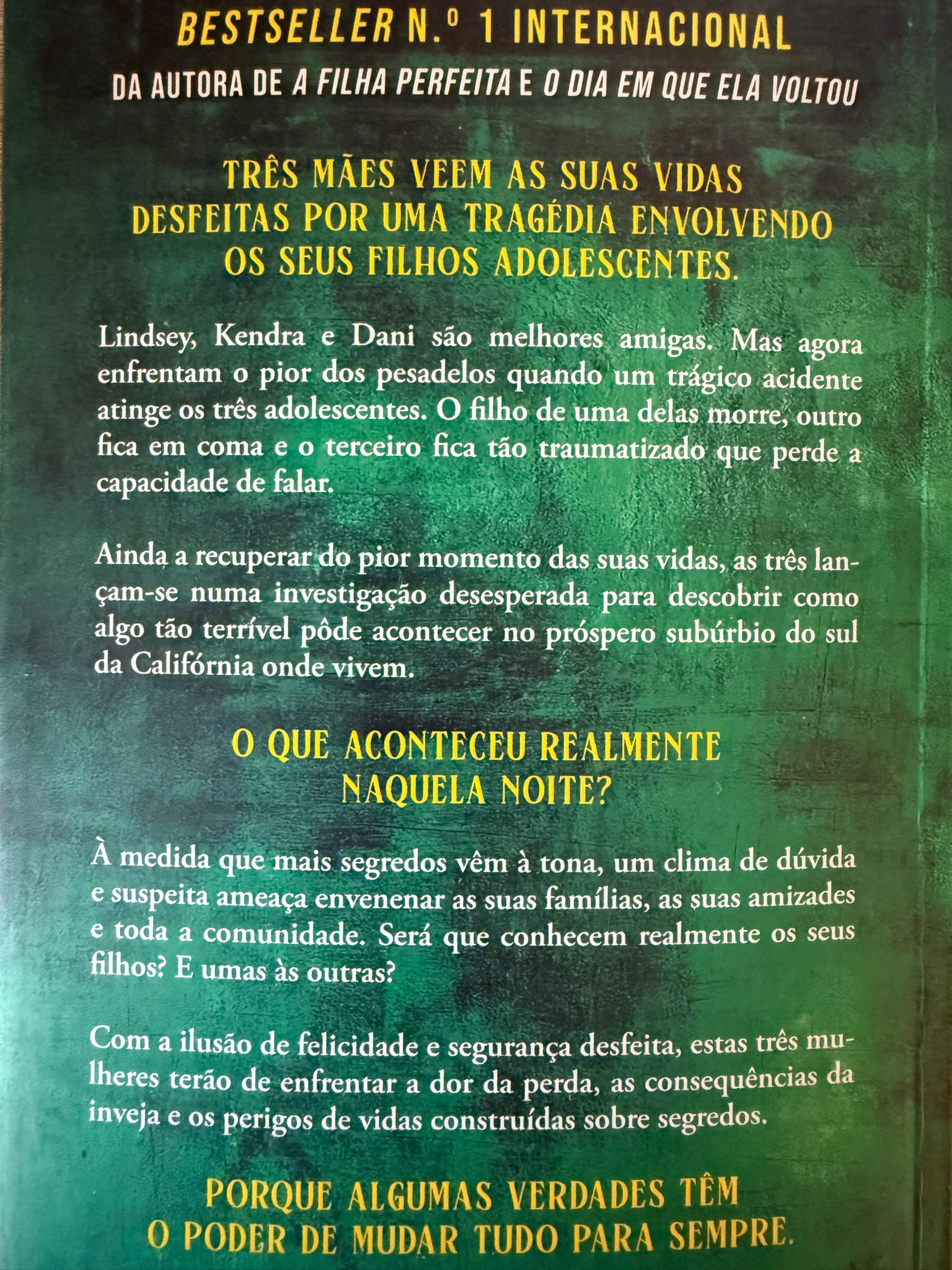 Bestseller n.º 1 internacional da autora de A Filha Perfeita  Lindsey, Kendra e Dani são melhores amigas. Mas agora enfrentam o pior dos pesadelos quando um trágico acidente atinge os três adolescentes. O filho de uma delas morre, outro fica em coma e o terceiro fica tão traumatizado que perde a capacidade de falar. Ainda a recuperar do pior momento das suas vidas, as três lançam-se numa investigação desesperada para descobrir como algo tão terrível pôde acontecer no próspero subúrbio do sul da Califórnia onde vivem. À medida que mais segredos vêm à tona, um clima de dúvida e suspeita ameaça envenenar as suas famílias, as suas amizades e toda a comunidade.  Será que conhecem realmente os seus filhos? E umas às outras? Com a ilusão de felicidade e segurança desfeita, estas três mulheres terão de enfrentar a dor da perda, as consequências da inveja e os perigos de vidas construídas sobre segredos.