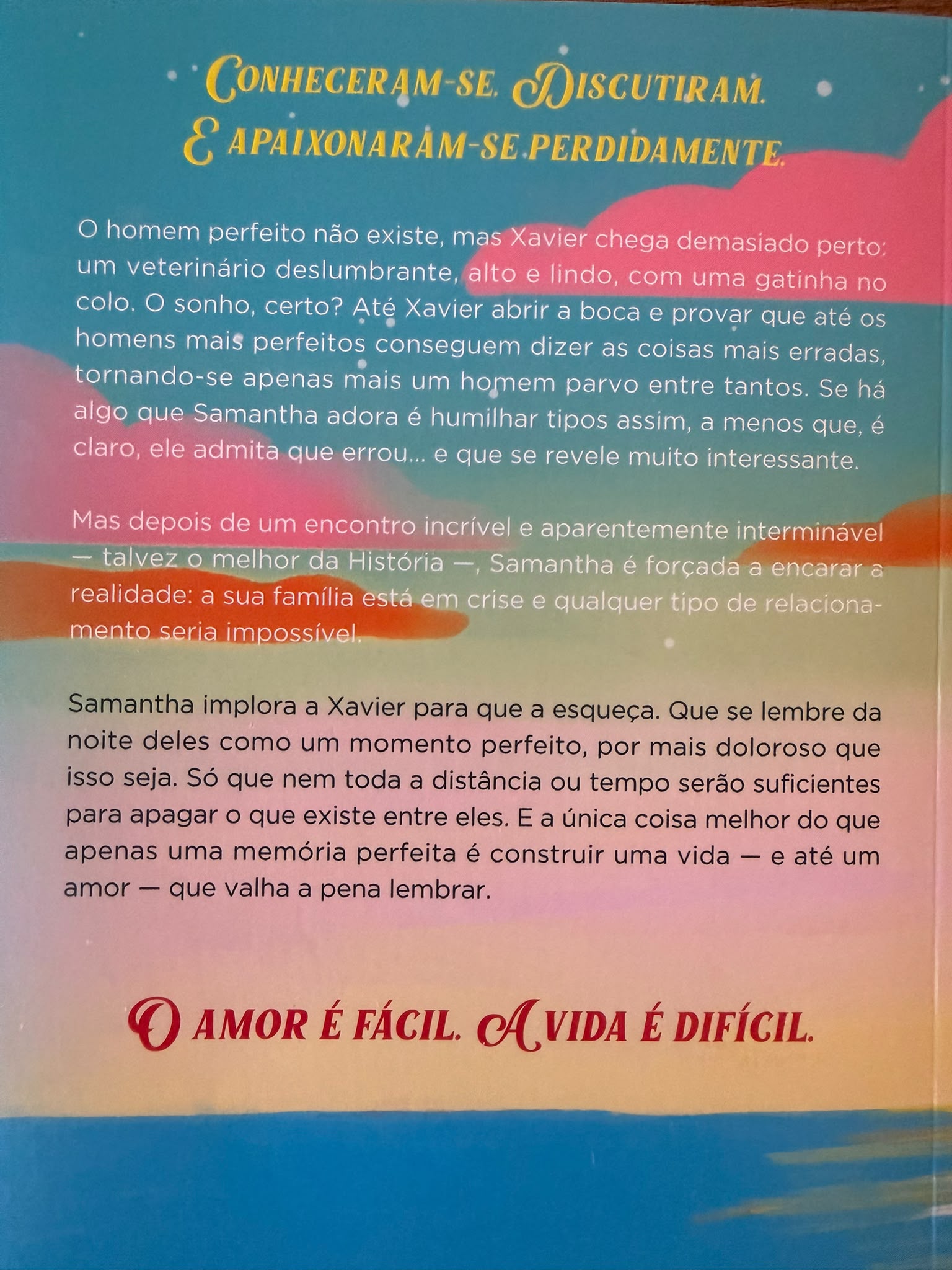 Conheceram-se. Discutiram. E apaixonaram-se perdidamente.  O homem perfeito não existe, mas Xavier chega demasiado perto: um veterinário deslumbrante, alto e lindo, com uma gatinha no colo. O sonho, certo? Até Xavier abrir a boca e provar que até os homens mais perfeitos conseguem dizer as coisas mais erradas, tornando-se apenas mais um homem parvo entre tantos. Se há algo que Samantha adora é humilhar tipos assim, a menos que, é claro, ele admita que errou... e que se revele muito interessante.  Mas depois de um encontro incrível e aparentemente interminável — talvez o melhor da História —, Samantha é forçada a encarar a realidade: a sua família está em crise e qualquer tipo de relacionamento seria impossível.  Samantha implora a Xavier para que a esqueça. Que se lembre da noite deles como um momento perfeito, por mais doloroso que isso seja. Só que nem toda a distância ou tempo serão suficientes para apagar o que existe entre eles. E a única coisa melhor do que apenas uma memória perfeita é construir uma vida — e até um amor — que valha a pena lembrar.  O amor é fácil. A vida é difícil.