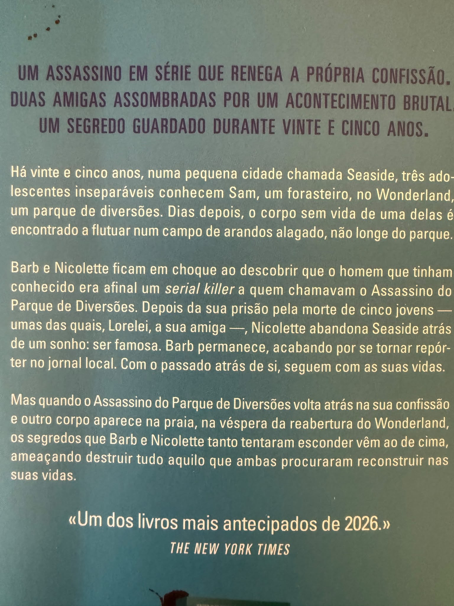 Há vinte e cinco anos, numa pequena cidade chamada Seaside, três adolescentes inseparáveis conhecem Sam, um forasteiro, no Wonderland, um parque de diversões. Dias depois, o corpo sem vida de uma delas é encontrado a flutuar num campo de arandos alagado, não longe do parque.  Barb e Nicolette ficam em choque ao descobrir que o homem que tinham conhecido era afinal um serial killer a quem chamavam o Assassino do Parque de Diversões. Depois da sua prisão pela morte de cinco jovens - umas das quais, Lorelei, a sua amiga -, Nicolette abandona Seaside atrás de um sonho: ser famosa. Barb permanece, acabando por se tornar repórter no jornal local. Com o passado atrás de si, seguem com as suas vidas.  Mas quando o Assassino do Parque de Diversões volta atrás na sua confissão e outro corpo aparece na praia, na véspera da reabertura do Wonderland, os segredos que Barb e Nicolette tanto tentaram esconder vêm ao de cima, ameaçando destruir tudo aquilo que ambas procuraram reconstruir nas suas vidas.