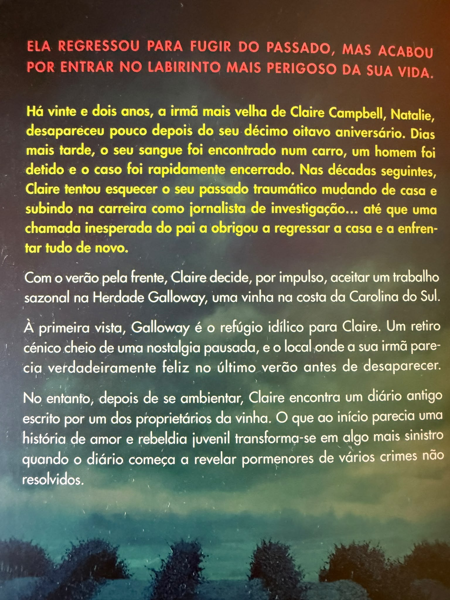 Ela regressou para fugir do passado, mas acabou por entrar no labirinto mais perigoso da sua vida.  Há vinte e dois anos, a irmã mais velha de Claire Campbell, Natalie, desapareceu pouco depois do seu décimo oitavo aniversário. Dias mais tarde, o seu sangue foi encontrado num carro, um homem foi detido e o caso foi rapidamente encerrado. Nas décadas seguintes, Claire tentou esquecer o seu passado traumático mudando de casa e subindo na carreira como jornalista de investigação… até que uma chamada inesperada do pai a obrigou a regressar a casa e a enfrentar tudo de novo.  Com o verão pela frente, Claire decide, por impulso, aceitar um trabalho sazonal na Herdade Galloway, uma vinha na costa da Carolina do Sul.  À primeira vista, Galloway é o refúgio idílico para Claire. Um retiro cénico cheio de uma nostalgia pausada, e o local onde a sua irmã parecia verdadeiramente feliz no último verão antes de desaparecer.  No entanto, depois de se ambientar, Claire encontra um diário antigo escrito por um dos proprietários da vinha. O que ao início parecia uma história de amor e rebeldia juvenil transforma-se em algo mais sinistro quando o diário começa a revelar pormenores de vários crimes não resolvidos.