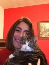 Profile picture for user carolinadsillva