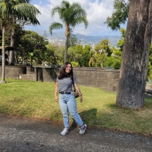 Profile picture for user SandraFilipe