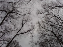 Profile picture for user Ant0nioDias