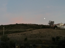 Profile picture for user Marynara