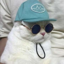 Profile picture for user horror_cat