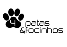 Profile picture for user QuatroPataseFocinhos