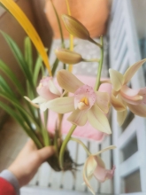 Profile picture for user Ninateles