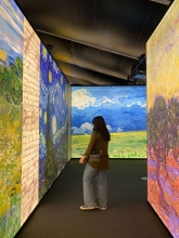 Profile picture for user margaridacsilva