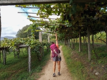 Profile picture for user Ana Teresa Aragão