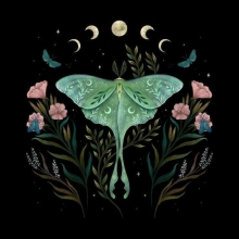 Profile picture for user Traça dos livros
