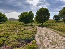 Profile picture for user Carla Ceia