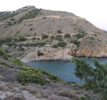 Profile picture for user lia_lopes