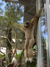 Profile picture for user sara.sousaaaa