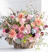 Profile picture for user Leitura2-usado-24