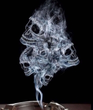 Profile picture for user lucacarlo