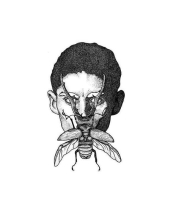Profile picture for user Duarte Camões