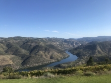 Profile picture for user catia_kinhas