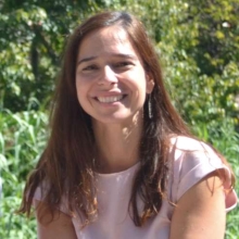 Profile picture for user monteirm