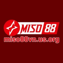 Profile picture for user miso88vnusorg