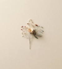 Profile picture for user Regalinha_Ana