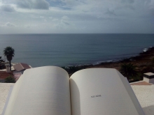 Profile picture for user Catarina P.