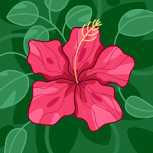 Profile picture for user isadoraassumpcao