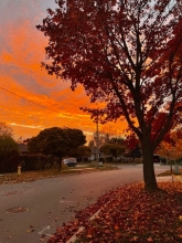 Profile picture for user Linhas e Entrelinhas