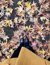 Profile picture for user filipaavmonteiro