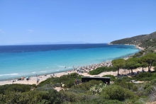 Profile picture for user LO