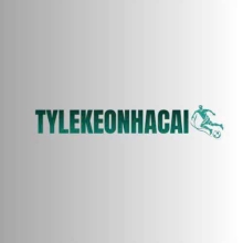 Profile picture for user tylekeonhacai5itcom