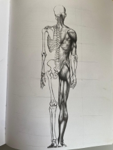 Profile picture for user Só Gaudêncio