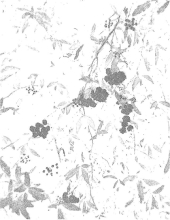 Profile picture for user White Feathers