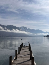 Profile picture for user catsilmad