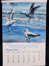 Profile picture for user Saki