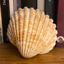 Profile picture for user vmlf01