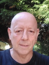 Profile picture for user José Gomes da Silva