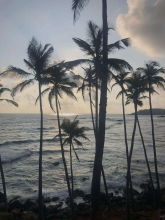 Profile picture for user CatarinaGSilva