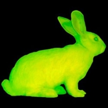 Profile picture for user cain04