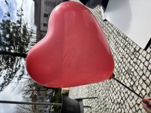 Profile picture for user Maffin