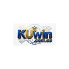 Profile picture for user kuwincomco