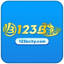 Profile picture for user 123bcitycom